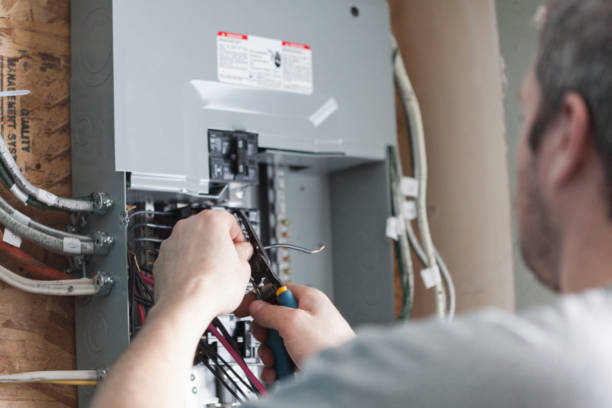 Best Electrical Panel Upgrades  in Wmington, IL